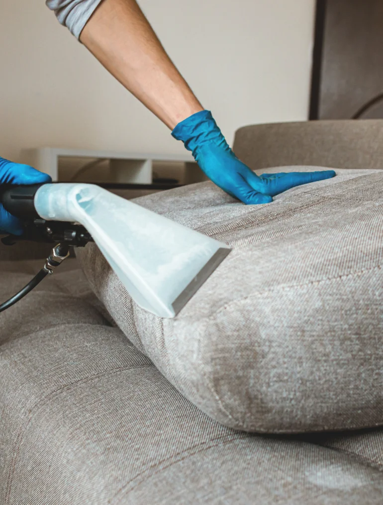 Agence Herve Nettoyage Entreprise De Nettoyage A Chartres Nettoyage Pour Particulier Agence Herve Nettoyage Entreprise De Nettoyage A Chartres Nettoyage Pour Particulier